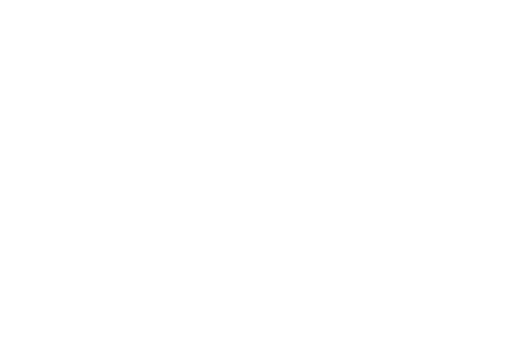 Official Selection Malibu Film Festival 2025